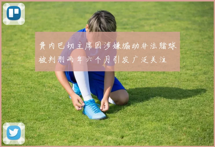 费内巴切主席因涉嫌煽动非法赌球被判刑两年六个月引发广泛关注