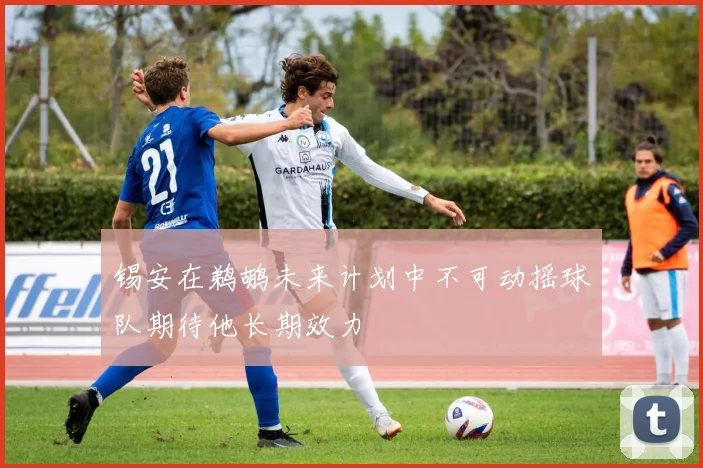 锡安在鹈鹕未来计划中不可动摇球队期待他长期效力